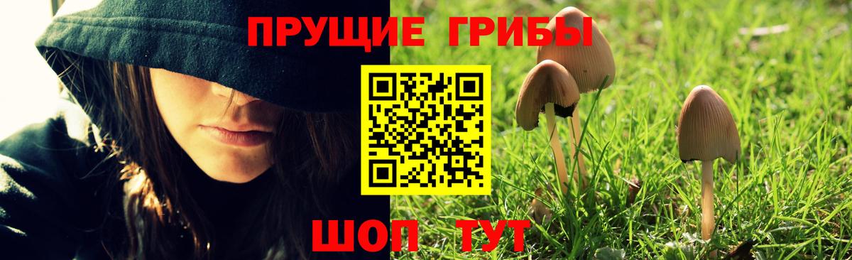 Псилоцибиновые грибы Magic Shrooms  Галлюциногенные грибы прущие грибы  Строитель  Вход с VPN 